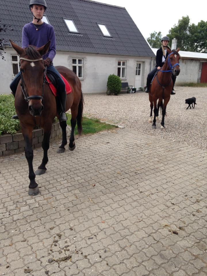 Traver Faraway billede 5