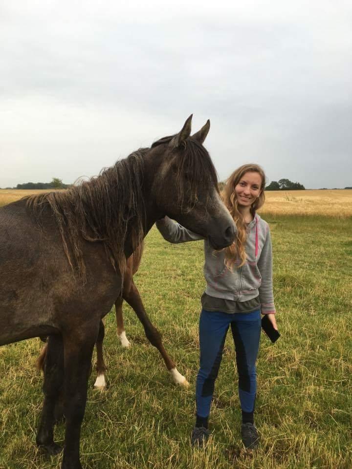 Arabisk fuldblod (OX) Grace billede 17