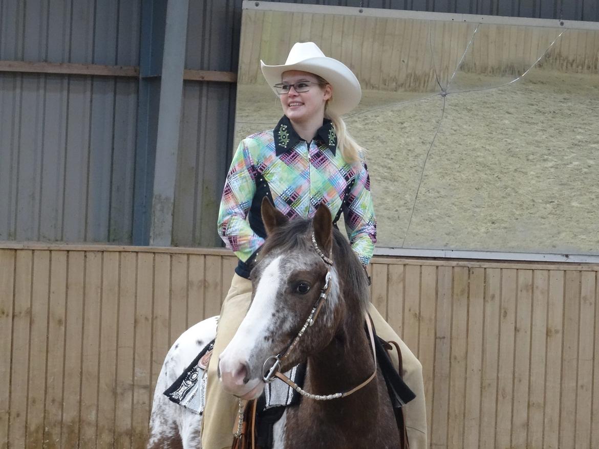 Appaloosa DIego billede 20