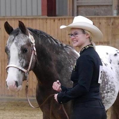 Appaloosa DIego billede 21