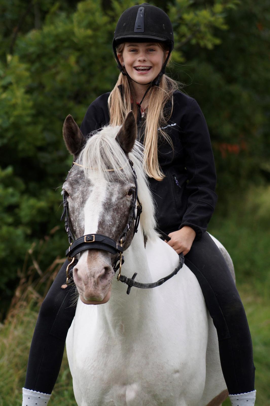 Anden særlig race Clements MilkyWay billede 6