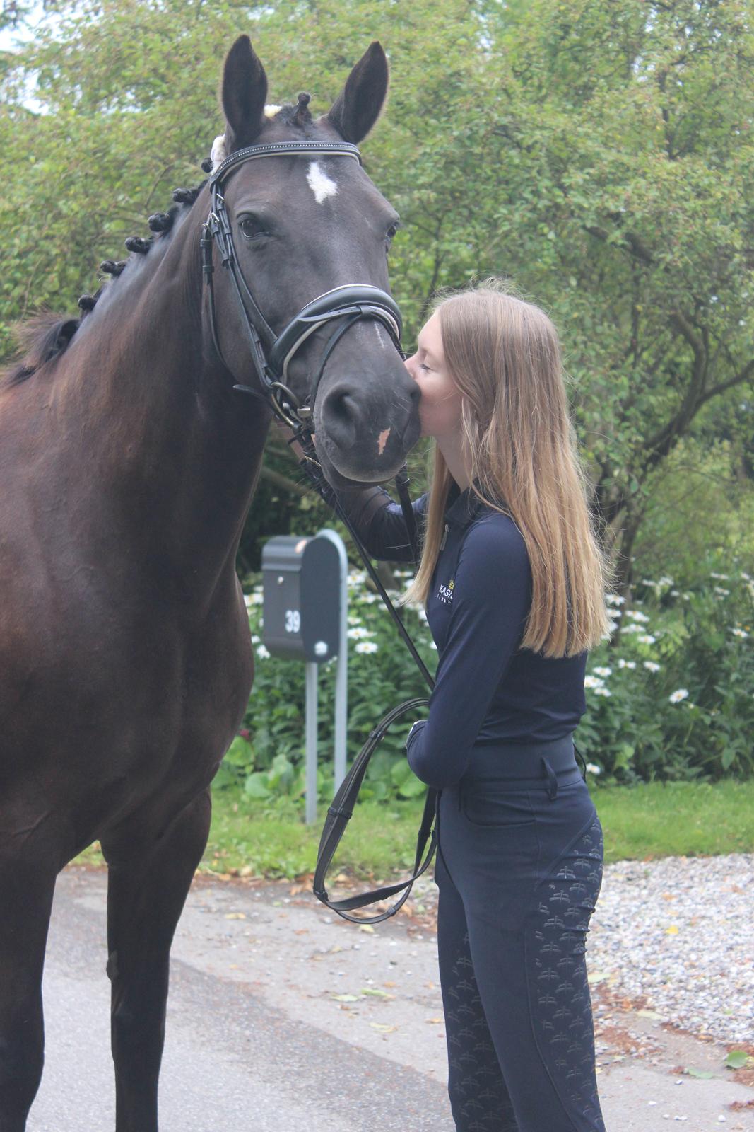 Anden særlig race Soffi billede 1