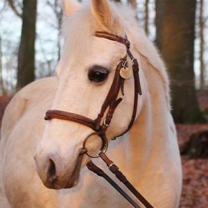 Anden særlig race - Ullive [Udlånt] billede 3