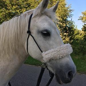 Anden særlig race - Ullive [Udlånt] billede 19