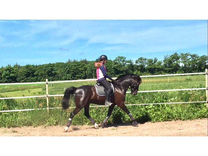 {{currentPhoto.altText}} billede {{currentPhoto.number}}