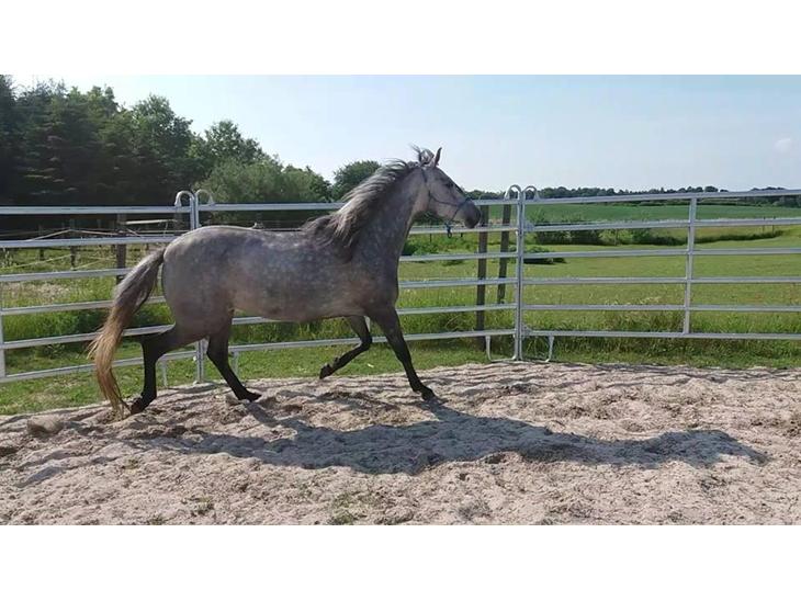 {{currentPhoto.altText}} billede {{currentPhoto.number}}