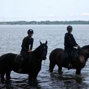 Anden særlig race Surprise