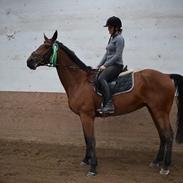 Anden særlig race Qwendolyn (også kaldt Q)