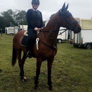 Anden særlig race Qwendolyn (også kaldt Q)