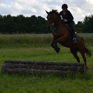 Anden særlig race Qwendolyn (også kaldt Q)