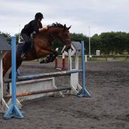 Anden særlig race Qwendolyn (også kaldt Q)