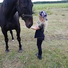 Oldenborg PATINA'S POWER GIRL solgt