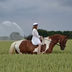 Pinto Hedens maki [HIMELHEST]