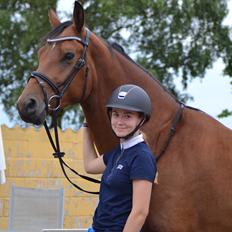 Tysk Oldenburger Znooze Firfod