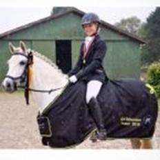 Welsh Pony (sec B) Lyngvejens Kira