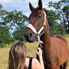 Traver Langesøs Fiona