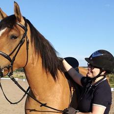 Mustang Goldhearted Fabiola