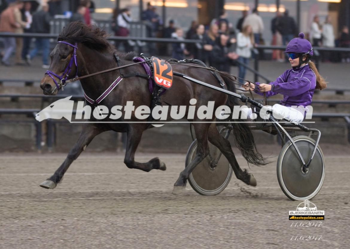 Islænder Una fra Skovbogaard - Oslo Grand Prix Supersprint 2017 - 1:40,6 <3 Fotograf: Anders Kongsrud, hesteguiden.com billede 3
