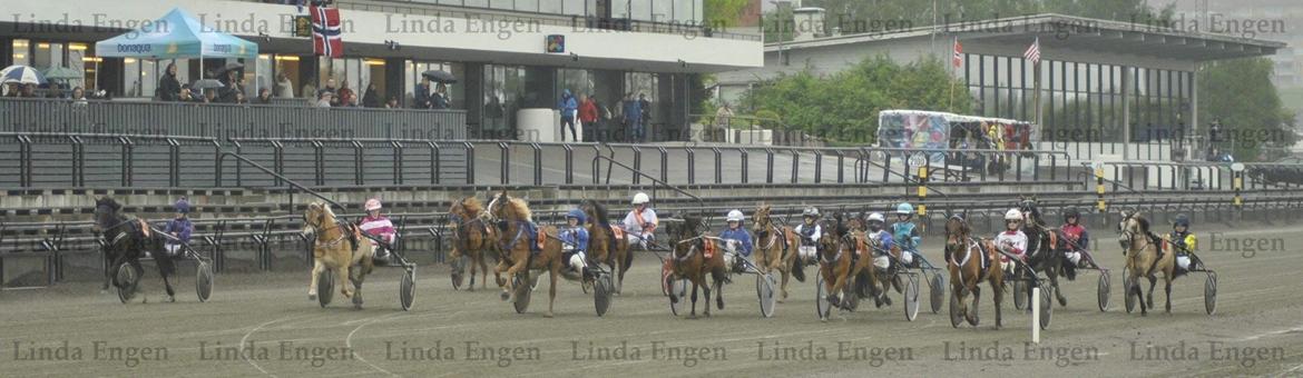 Islænder Una fra Skovbogaard - OGP Supersprint 2017 - Starten går. Una ligger yderst til venstre (nr. 12) <3 Foto: Linda Engen billede 9