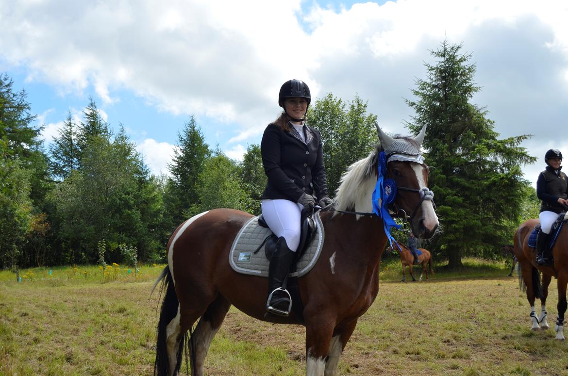 Pinto Elmegårdens Prada - MSH Springdag 29/07/2017. To nulrunder billede 14