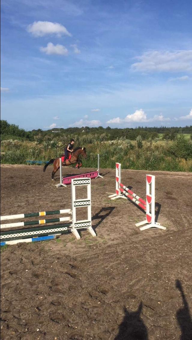 Traver Bette Nøk S billede 11