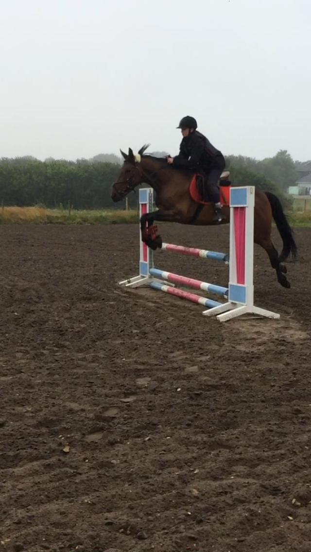 Traver Bette Nøk S billede 12