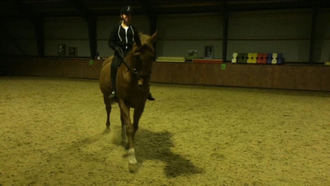 Anden særlig race Max billede 6