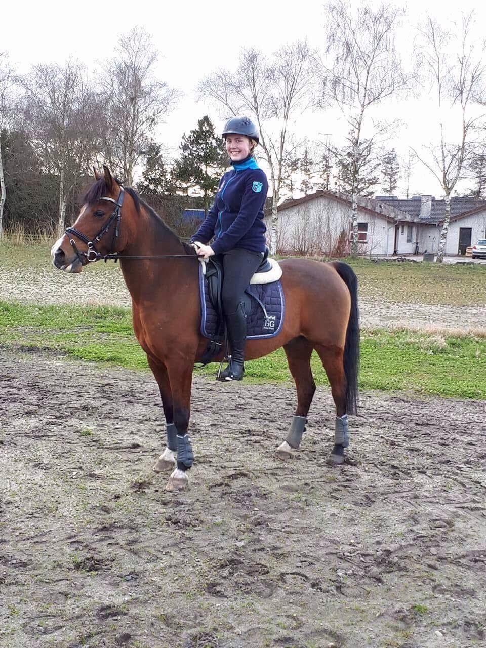 Anden særlig race Pepsi billede 13