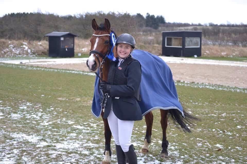 Anden særlig race Pepsi billede 14