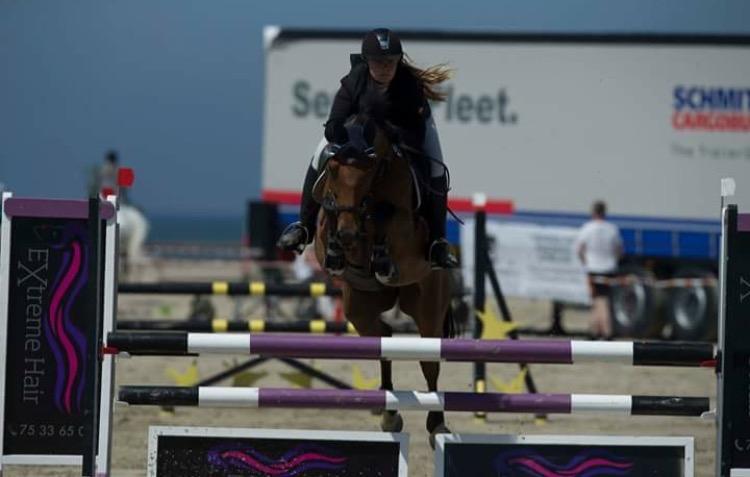 Dansk Varmblod Bækagers quando billede 13