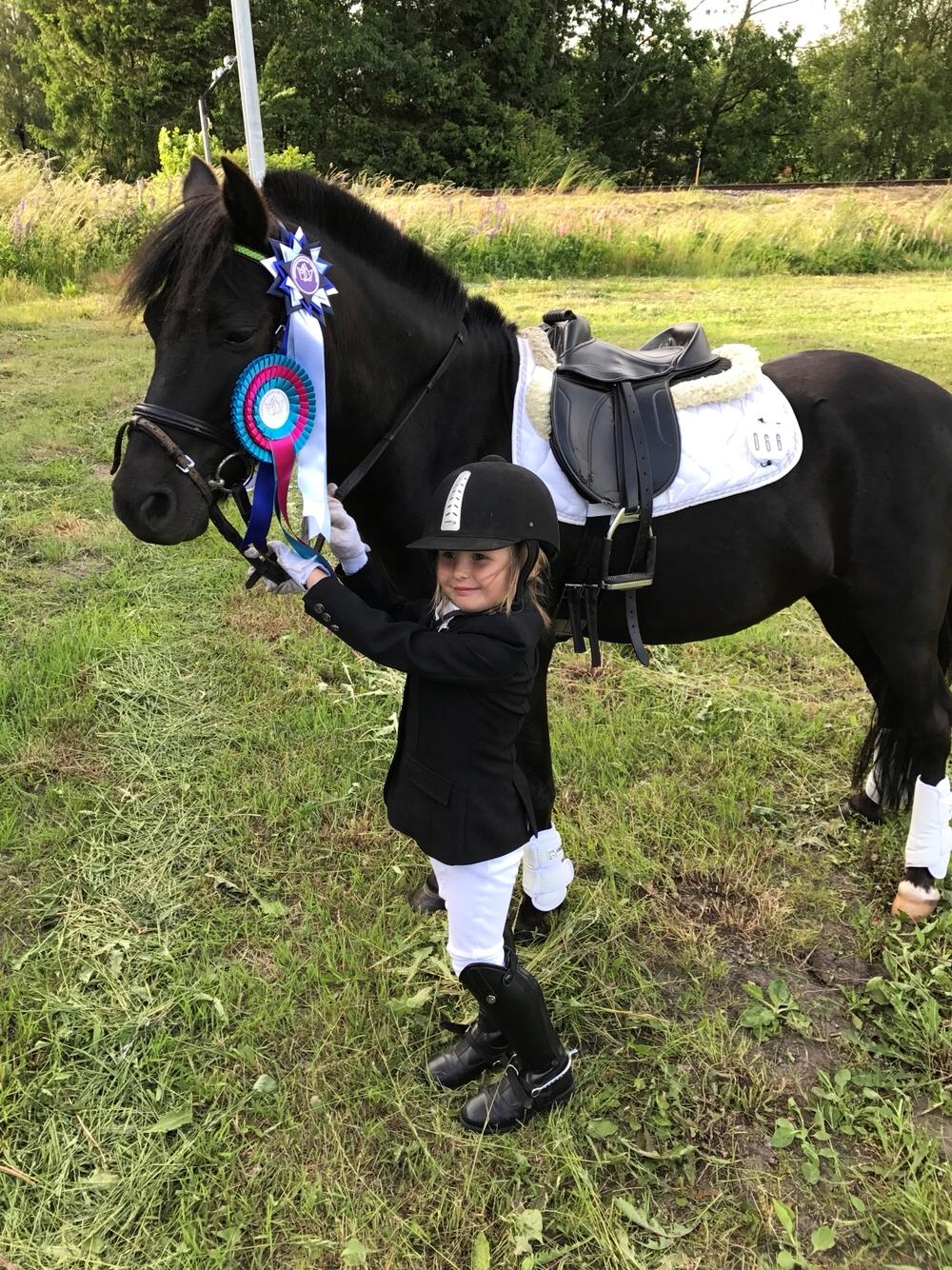 Anden særlig race Felix billede 12