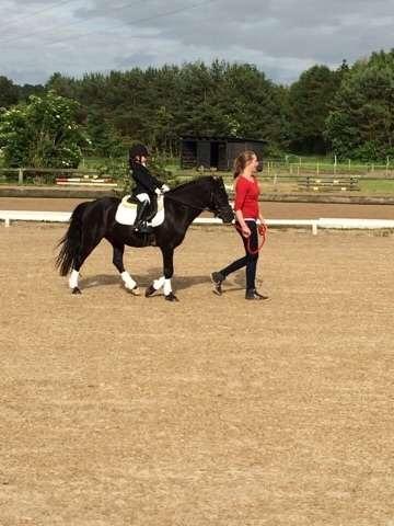 Anden særlig race Felix billede 14