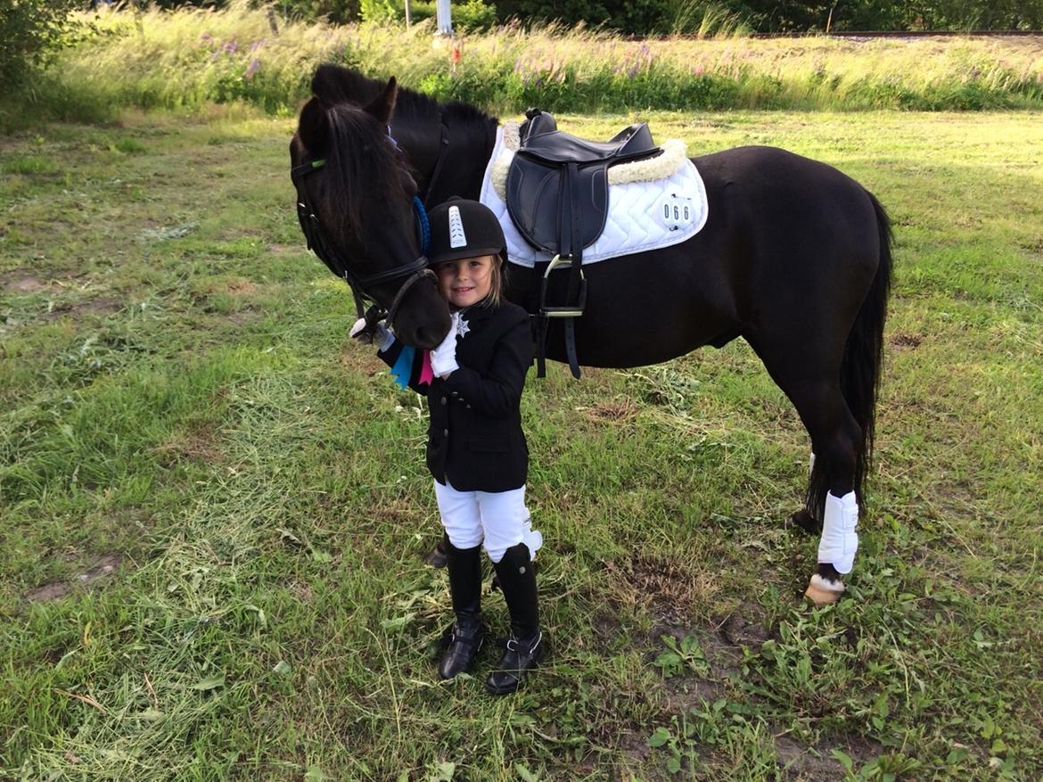 Anden særlig race Felix billede 15