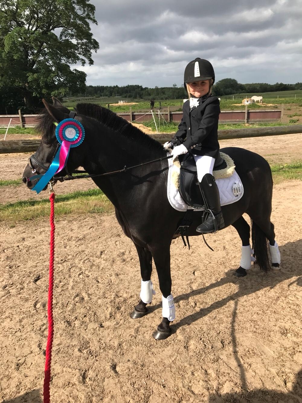 Anden særlig race Felix billede 13