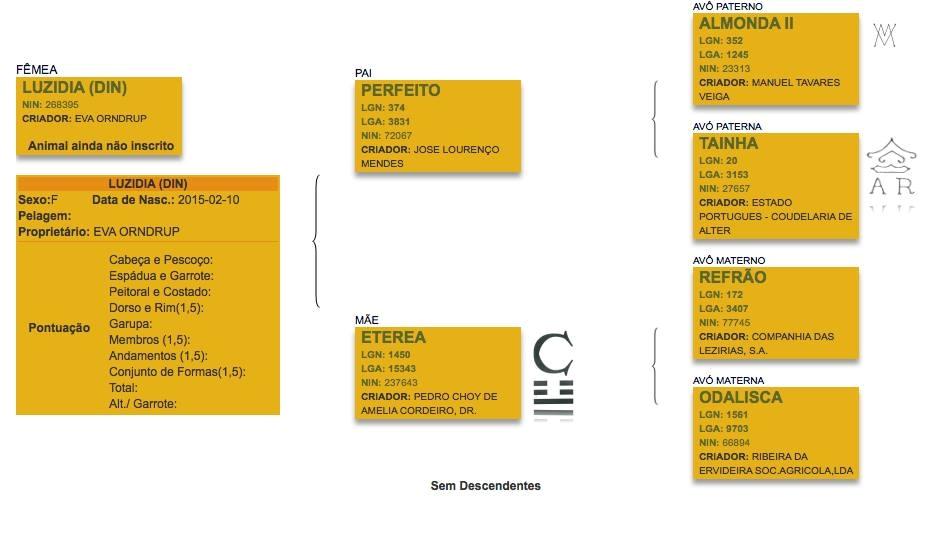 Lusitano Luzidia de lua billede 20
