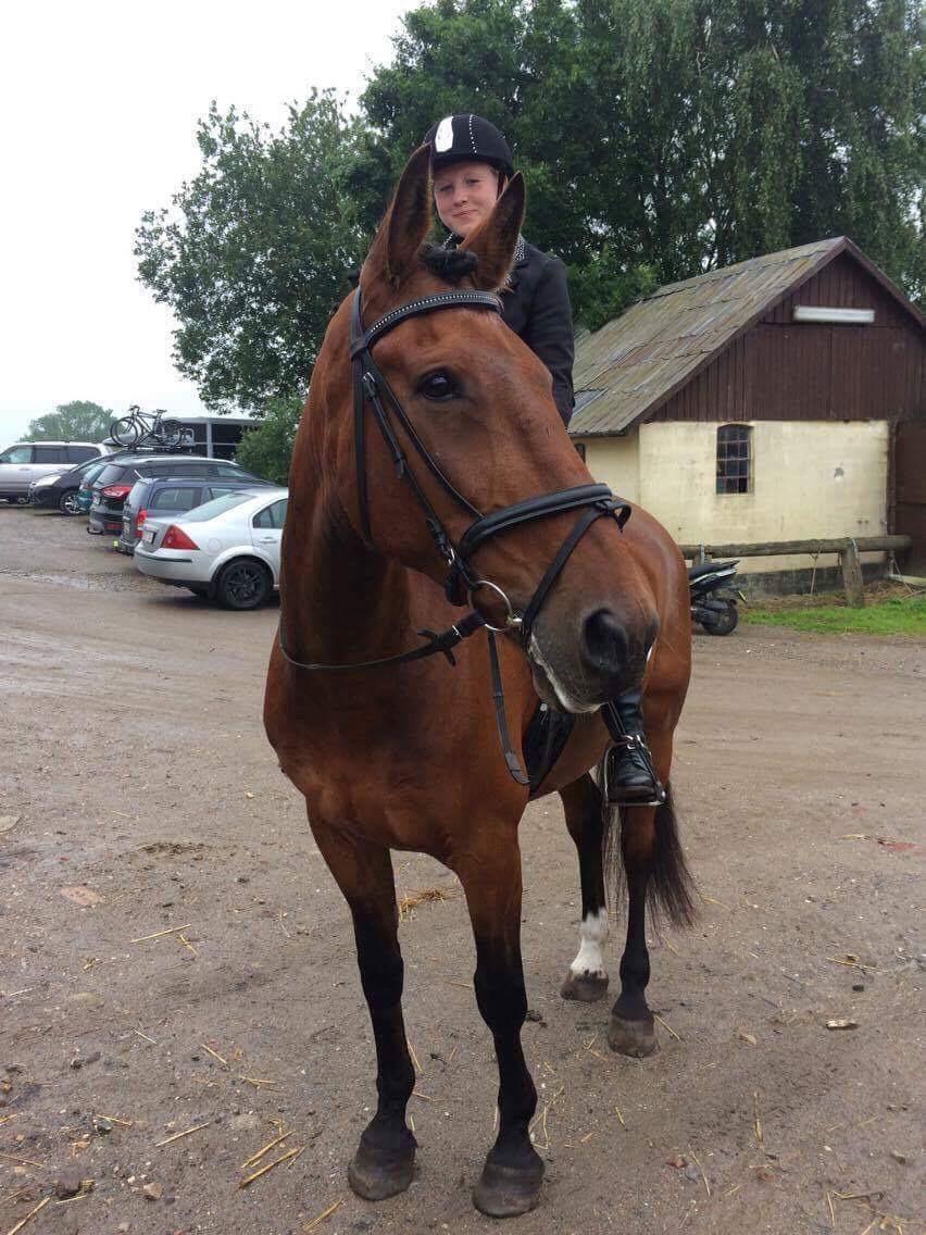 Anden særlig race Comino - Første stævne med Comino billede 3