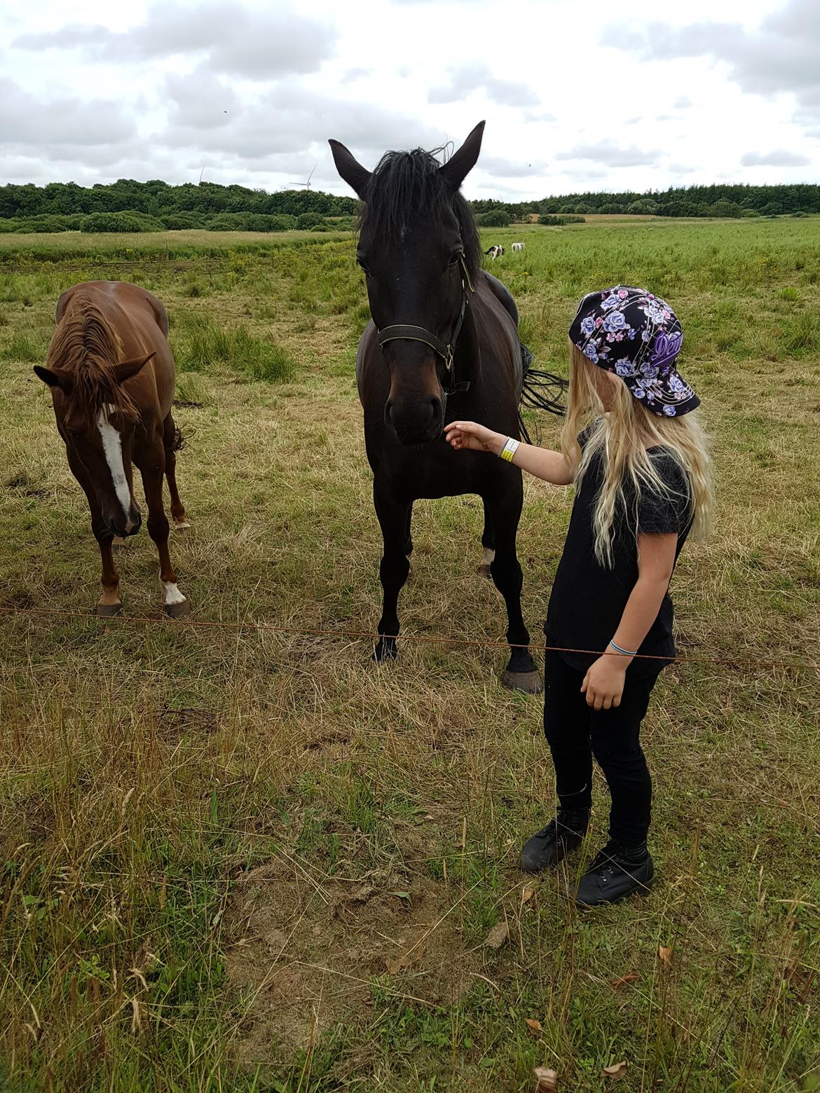Oldenborg PATINA'S POWER GIRL solgt billede 2