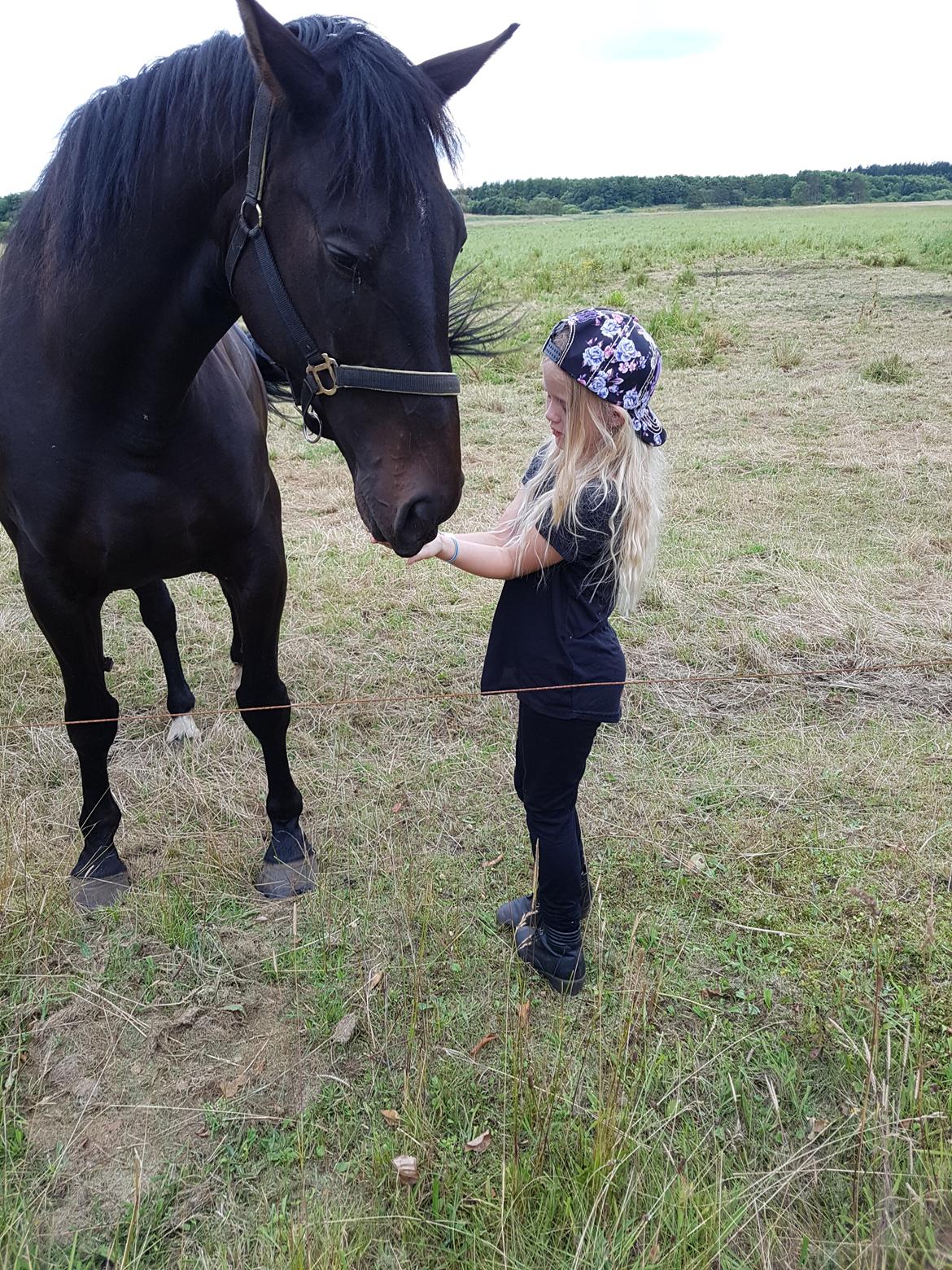 Oldenborg PATINA'S POWER GIRL solgt billede 3