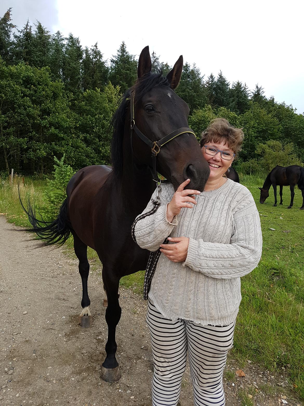 Oldenborg PATINA'S POWER GIRL solgt billede 5