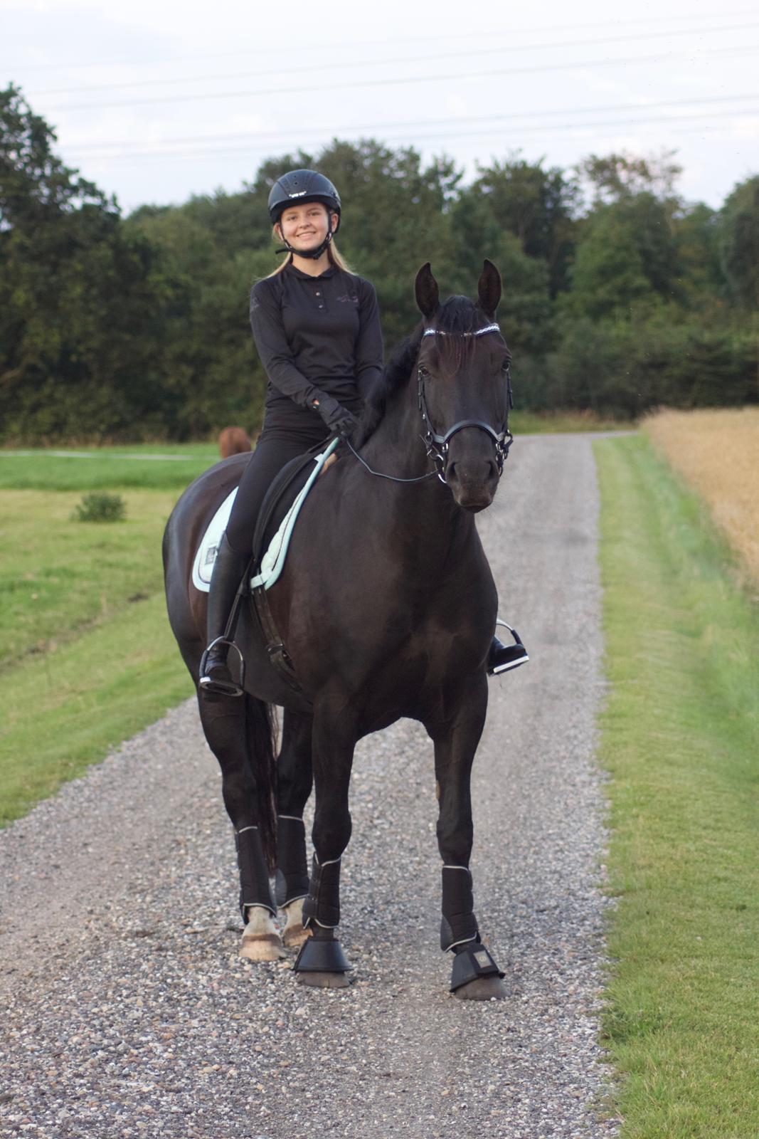 Oldenborg Lille Søgaards Eddi billede 5