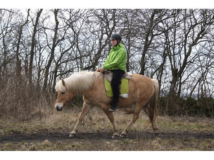 Anden særlig race Buller - Et af mine yndlingsbilleder <3 billede 24