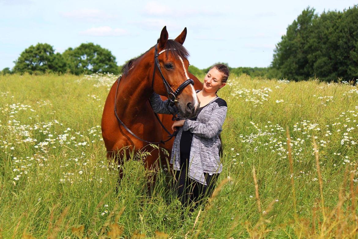 Traver Ja Post~Pub ( Popper ) billede 1