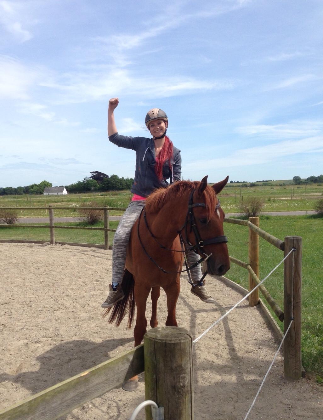 Palomino Holms Mr. Duddits billede 1