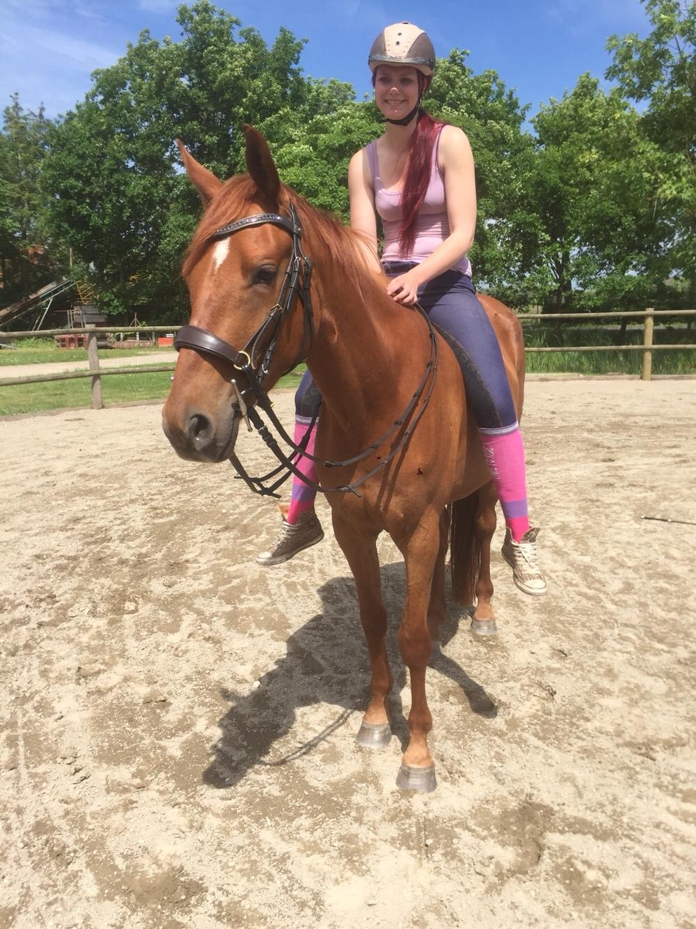 Palomino Holms Mr. Duddits billede 3