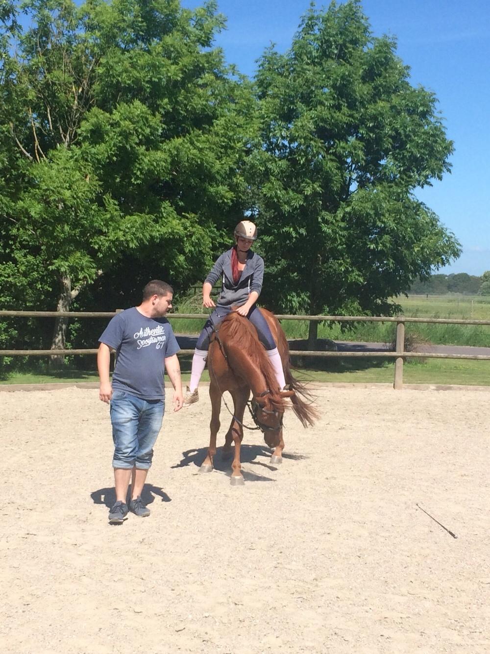 Palomino Holms Mr. Duddits billede 8