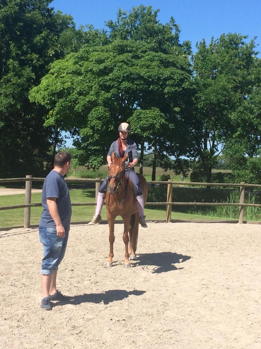 Palomino Holms Mr. Duddits billede 7