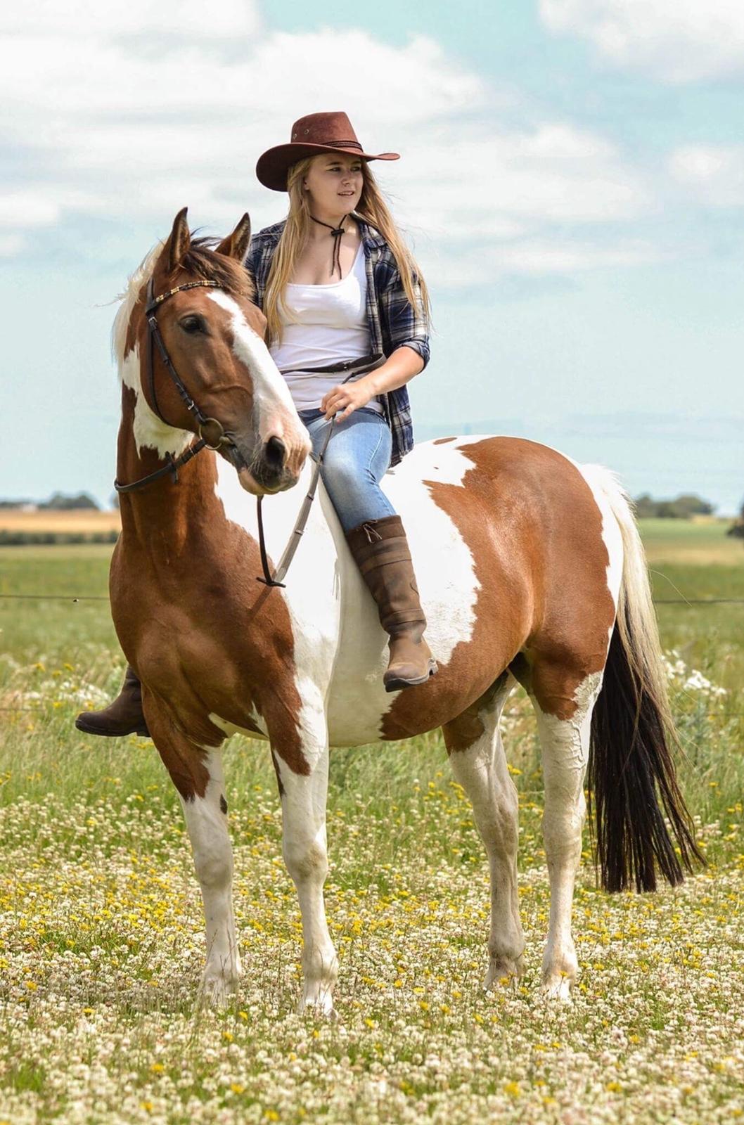 Anden særlig race Buller billede 1