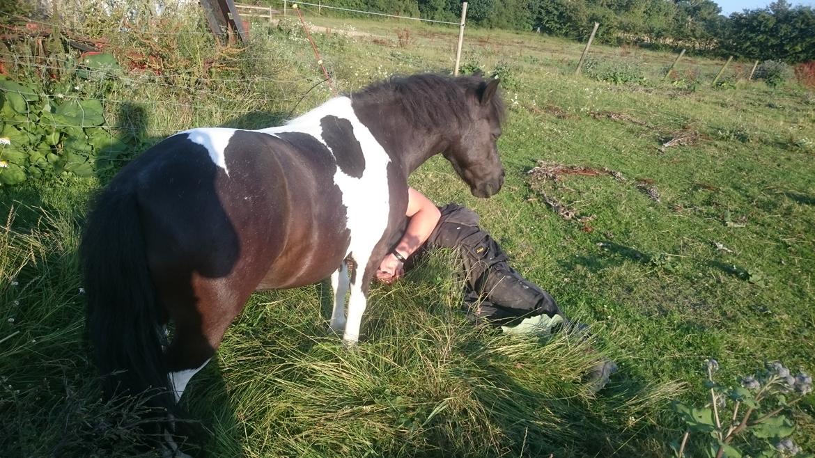 Anden særlig race sarah billede 1