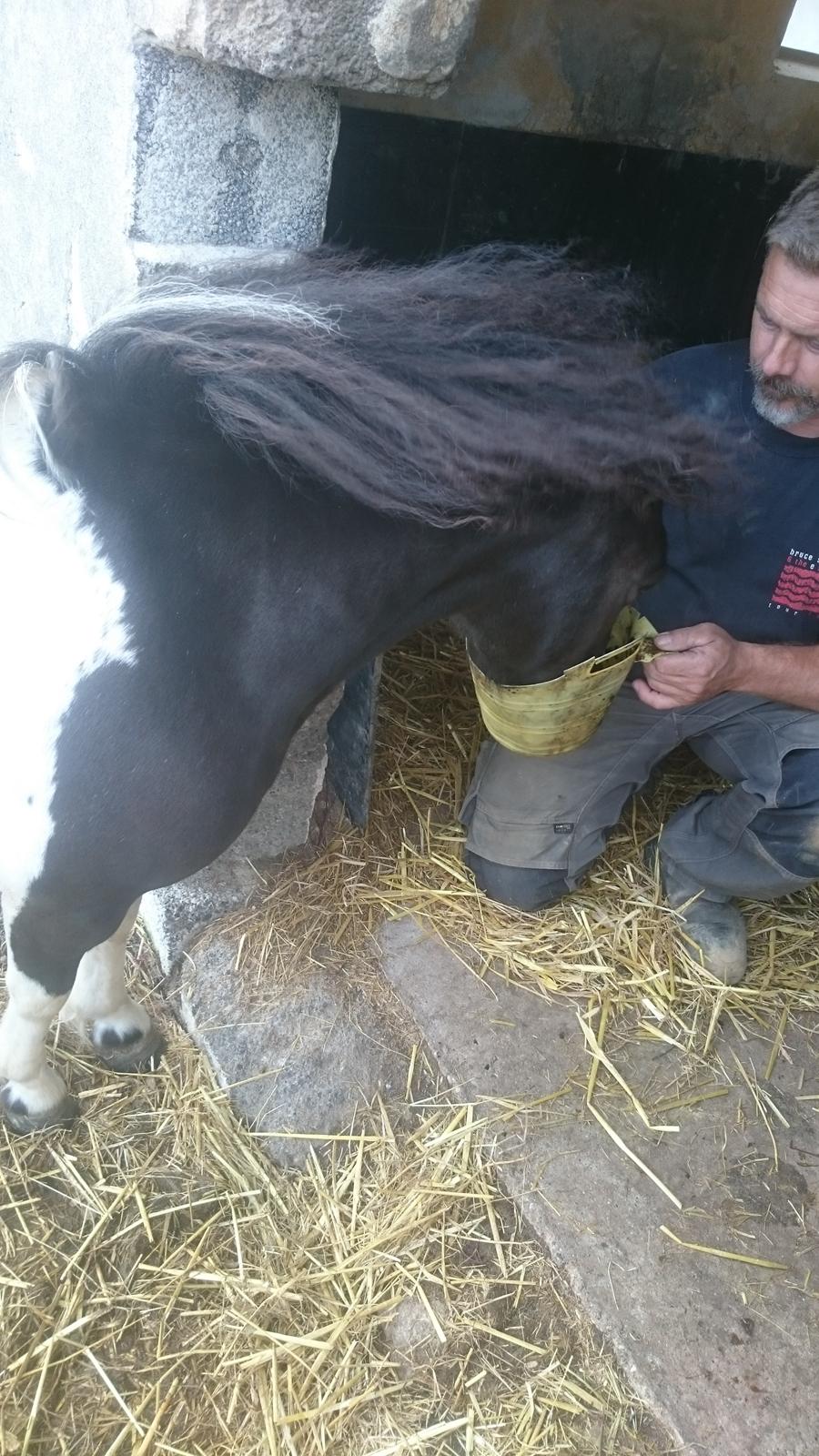 Anden særlig race sarah billede 7