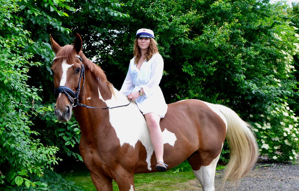 Pinto Hedens maki [HIMELHEST] billede 11